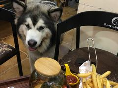-李小姐の猫咖啡馆(五角场店)