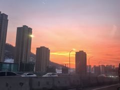 -马氏拌面花卷鸡(农大总店)