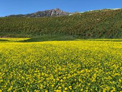 -扁都口生态休闲旅游区