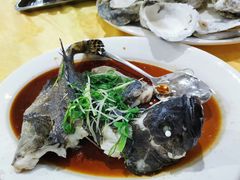 -蚝专家(北滘店)