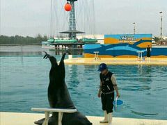 -秦皇岛乐岛海洋王国