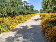 -森林公园(尖草坪区)