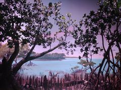 -中国湿地博物馆