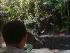 -漫·汤泉