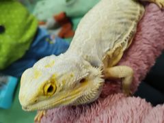 -藦茜花园宠物主题亲子互动体验馆(国顺东路店)