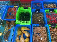 -七鲜渔港美食餐厅(巽寮湾海景店)