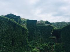 -枸杞岛
