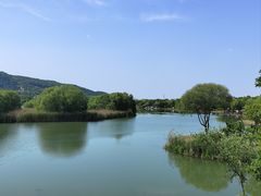-长广溪湿地公园
