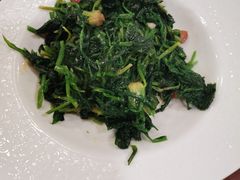 凉拌枸杞叶-北大街四合院