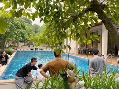 -仙湖旅游度假区