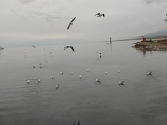 -青海湖二郎剑景区