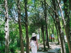 -崂山巨峰游览区