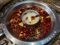 招牌美蛙鱼头火锅-七友美蛙鱼头火锅(坂田店)