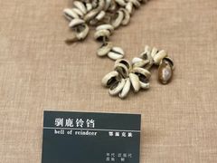 -呼伦贝尔民族博物馆