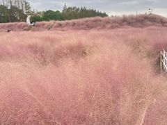 -嘉北郊野公园