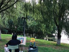 -长白岛森林公园