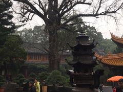 -普陀山风景名胜区-法雨禅寺