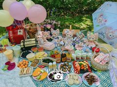 -上海共青森林公园