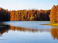 -上海海湾国家森林公园