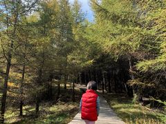 -苏木山森林公园