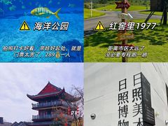-日照海滨国家森林公园
