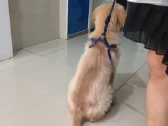 -宠福鑫动物医院(立水桥分院)