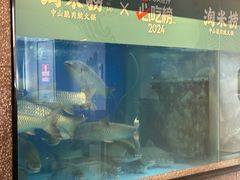 -淘米捞·米汤脆鲩鱼火锅(福田皇岗店)