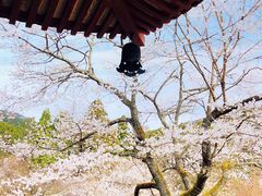 -醍醐寺