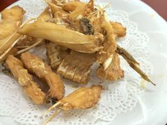 -源港渔村-中山脆肉鲩(博罗店)