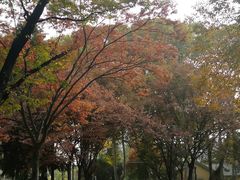 -南京航空航天大学(明故宫校区)
