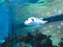 -常州海昌海洋探索馆