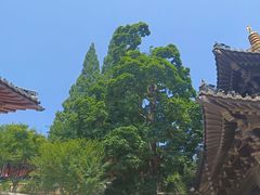 -径山寺