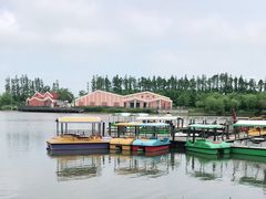 -上海长兴岛郊野公园