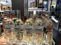 -谢列梅捷沃国际机场