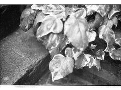 -当年暗房俱乐部(上海店)