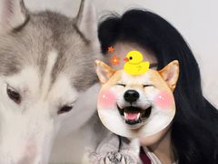 -星多哈·狗咖·拼豆·咖啡