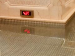 -新碧水留香新桑拿