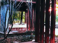 -张家港金凤凰度假村温泉