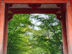-醍醐寺