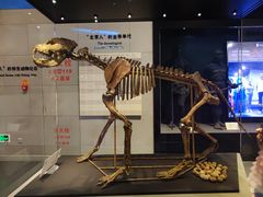 -北京周口店北京人遗址博物馆