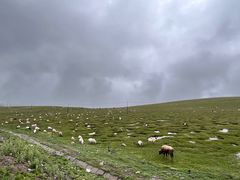 -橡皮山