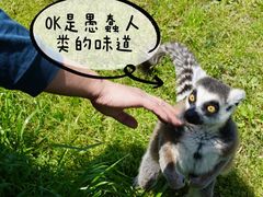 -宁波野生动物园