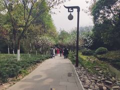 -重庆彩云湖湿地公园