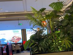 -辛香汇·现炒川菜(城北万象城店)