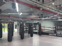 -花环泰拳·勒德斯拉泰拳馆(静安店)
