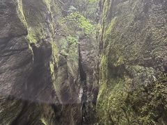 -牛背梁国家森林公园