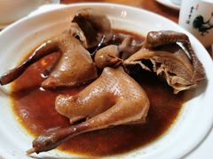 豉油皇乳鸽-富哥食店