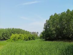 -东郊湿地公园