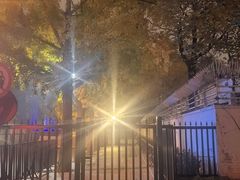 -三里屯东五街银杏大道