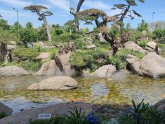 -罗红摄影艺术馆